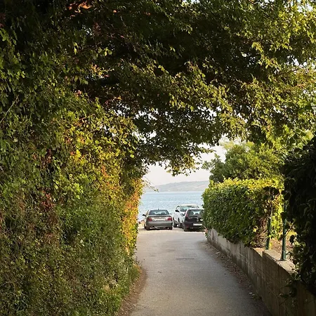 Dalmatino